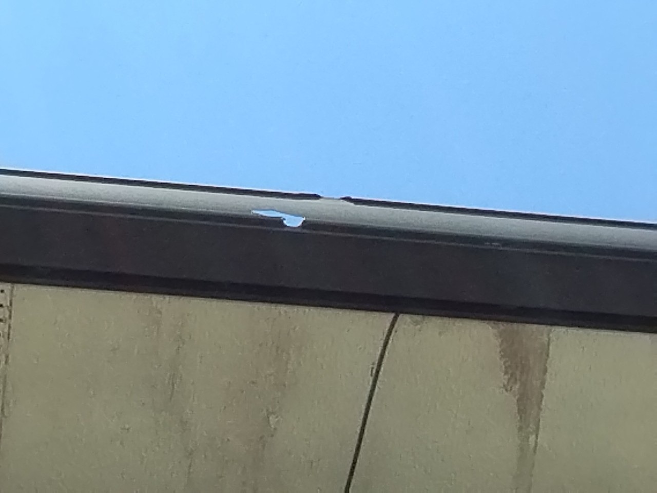 姫路市　雨樋(角樋)に破損と軒天に雨染み